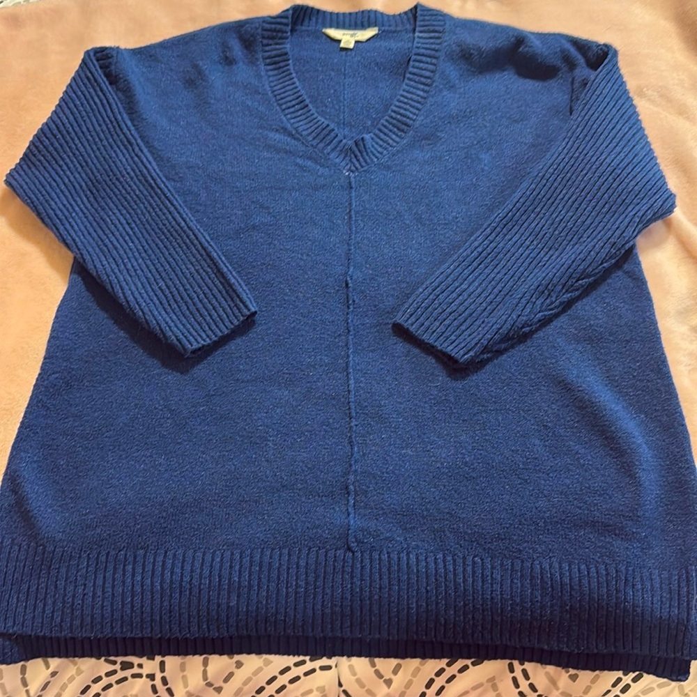 Terra & Sky Sweater size 1x Blue